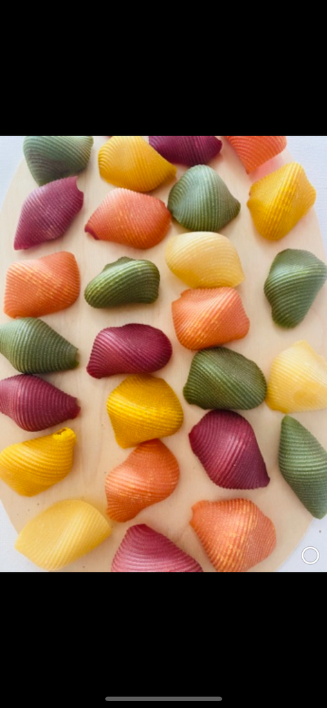 Shells (large size)